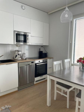 Willamo apartment with private sauna, Rovaniemi